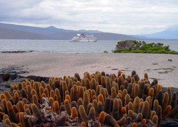 Adventure Travel Honeymoons