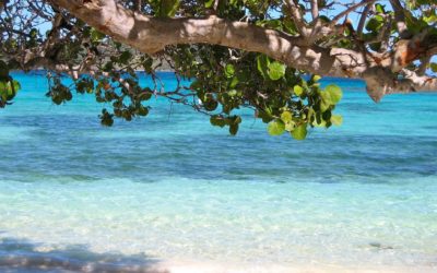 Barbados Honeymoons